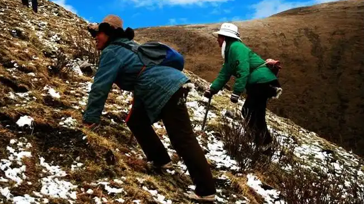 �������¿��YԴ�C�������аl(f��)���޹�˾